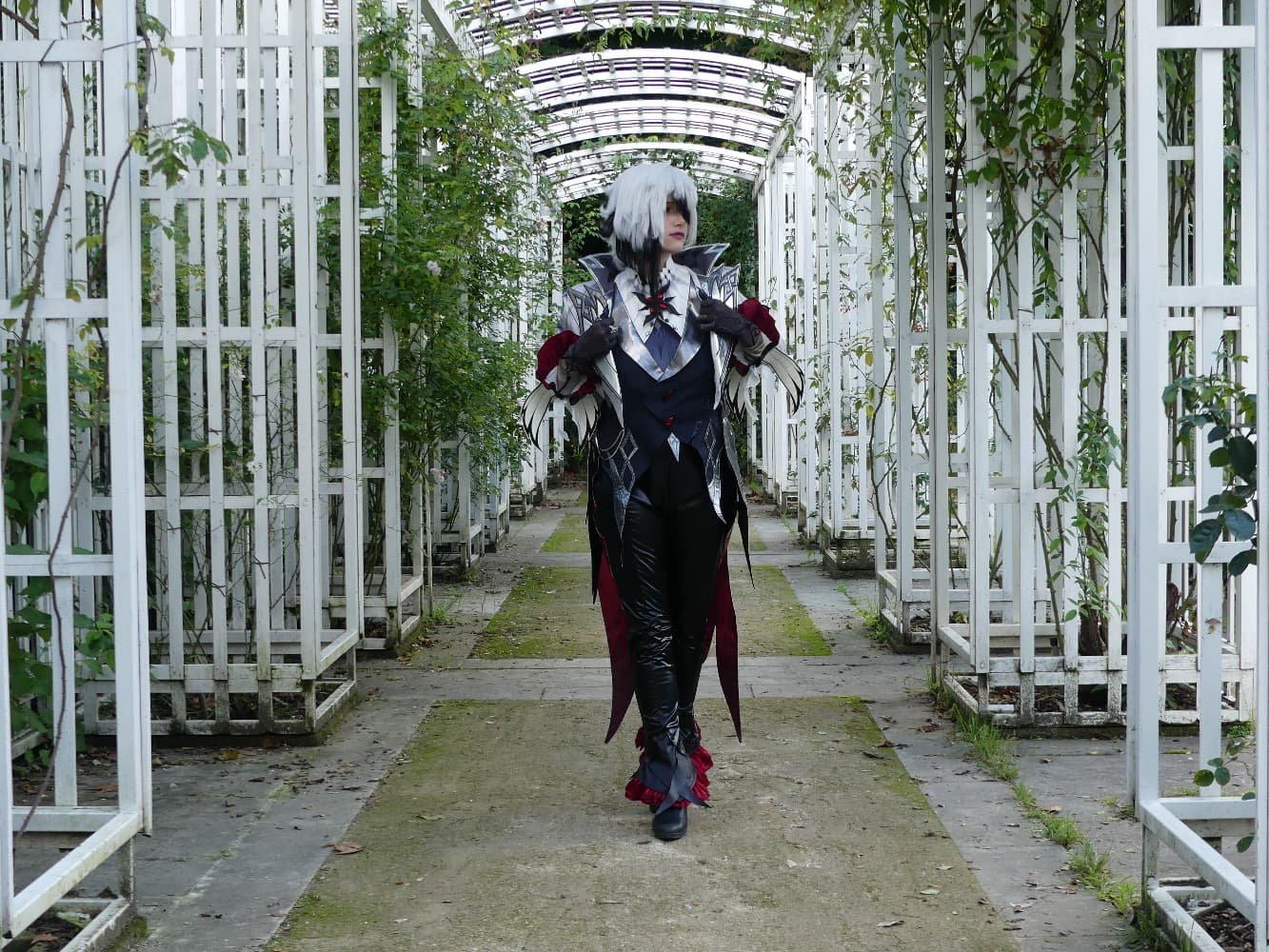 Arlecchino - Photo 3