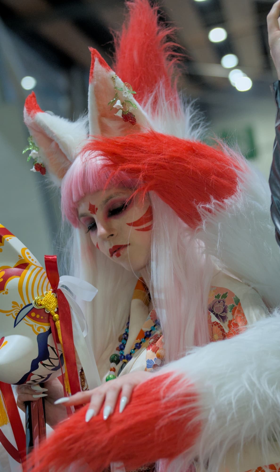 Kitsune - Photo 3