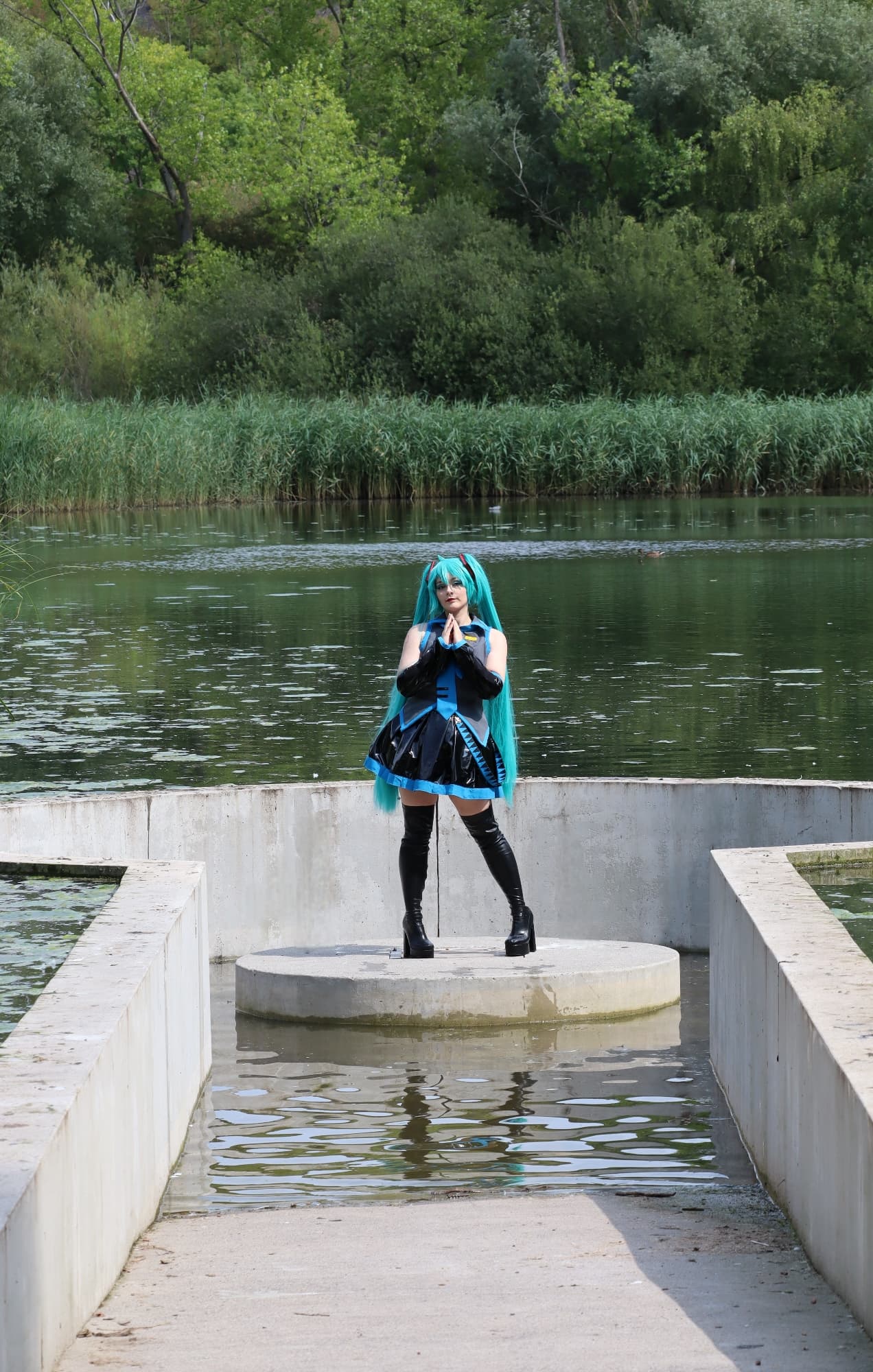 Miku - Photo 9