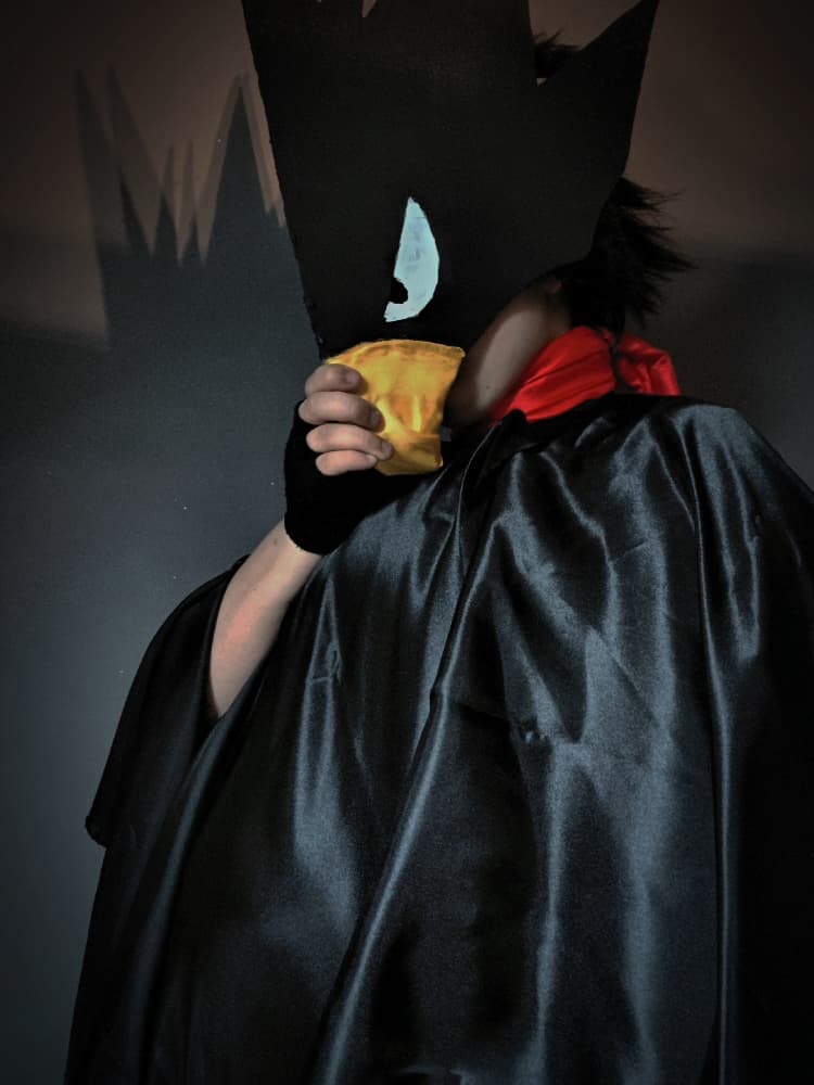 Tokoyami  - Photo 4