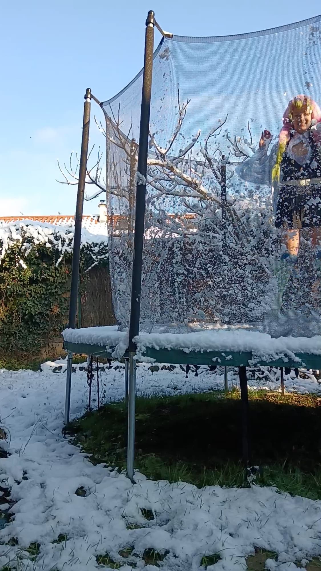 Mitsuri Kanroji - Photo 51