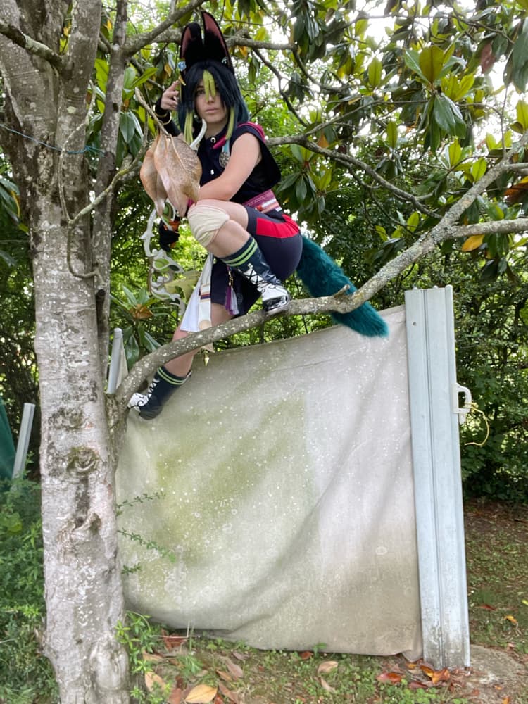 Tighnari  - Photo 22