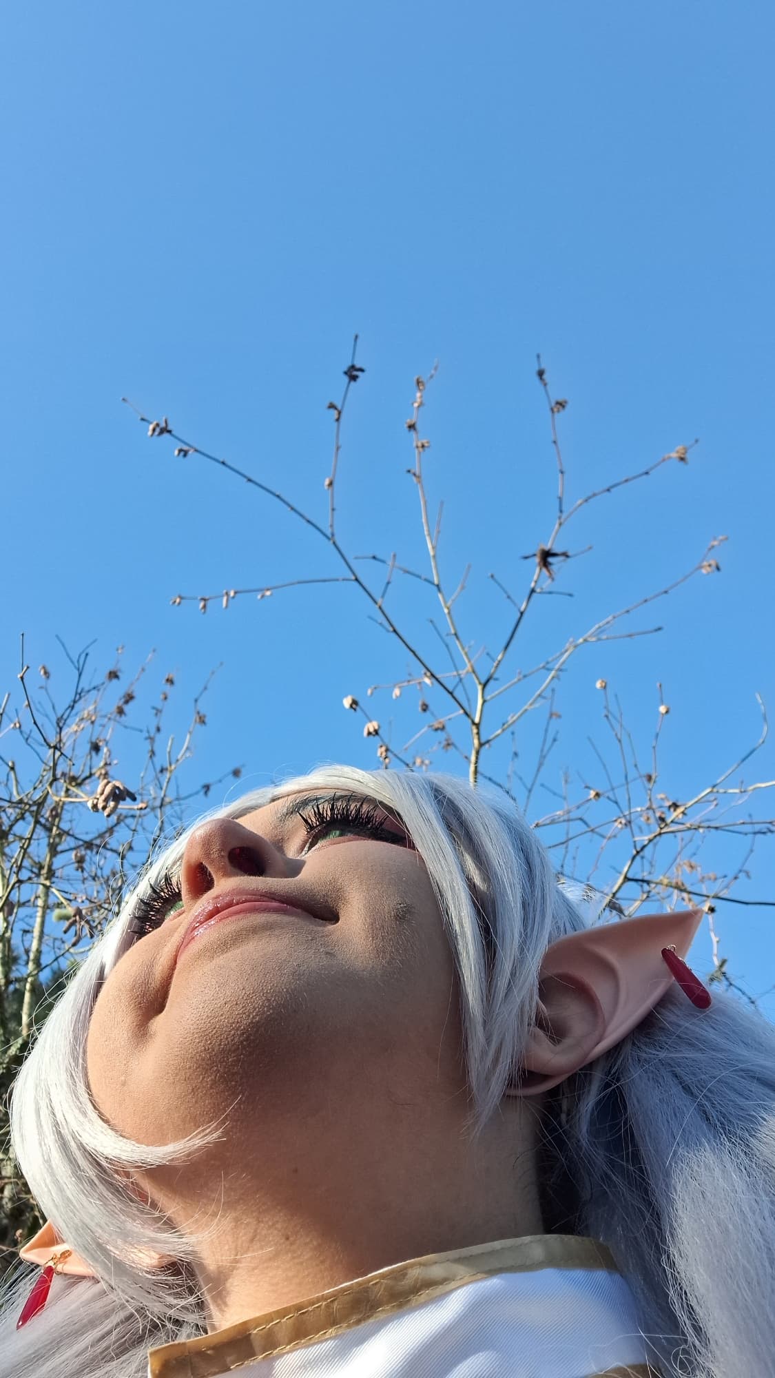 Frieren-1er version - Photo 5