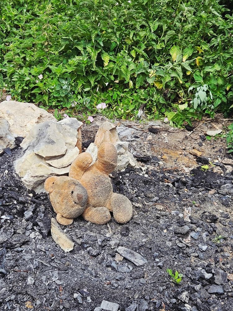 Gouverneur - Photo 4