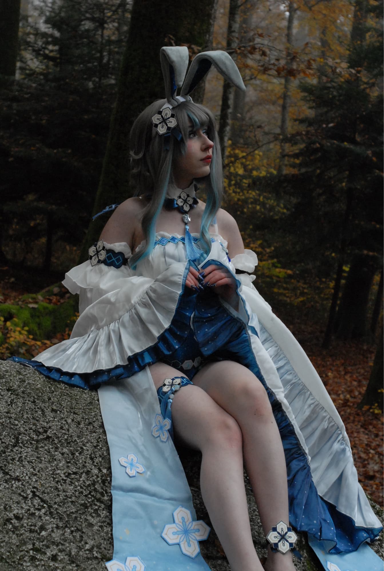 Guizhong Bunny - Photo 13