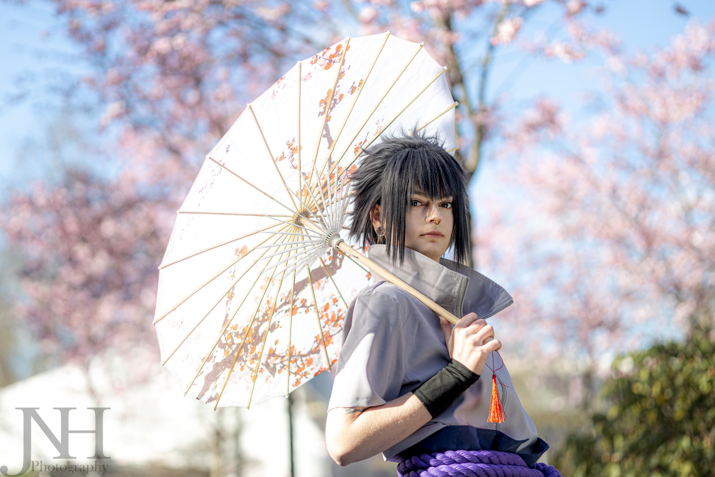 Cherry Blossoms - Photo 6