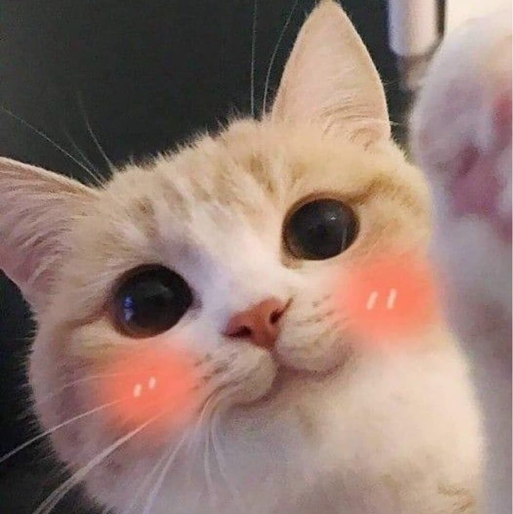 Power  - Chainsaw Man cosplay photoshoot cover