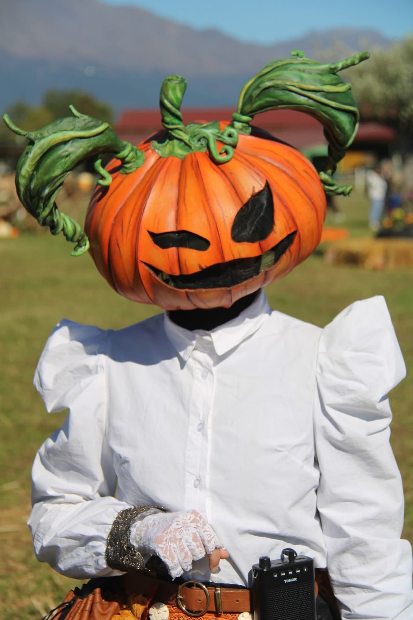 Lady Pumpkin  - Photo 5