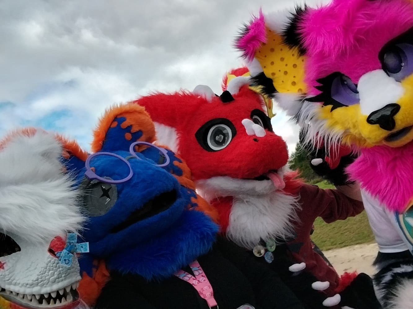 Stellar à japanante - Photo 5