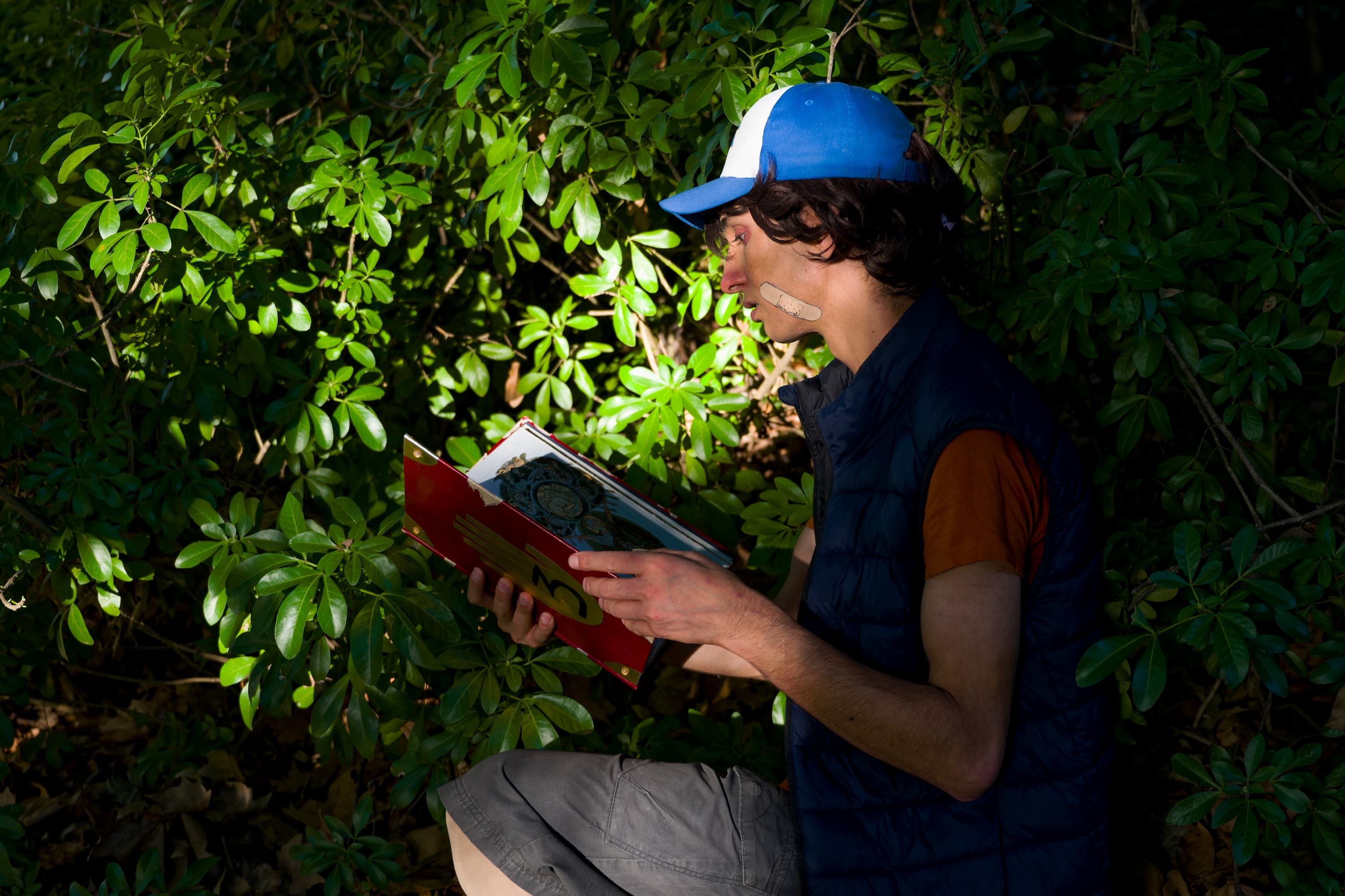 Dipper Pines - Photo 2