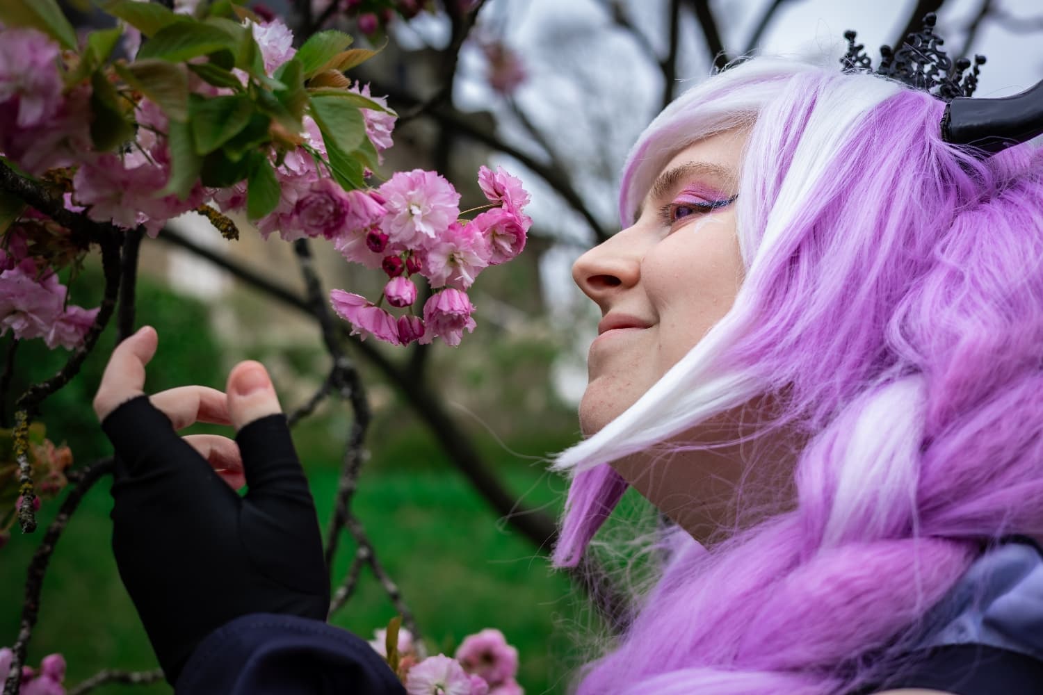 Shinigami  - Photo 5