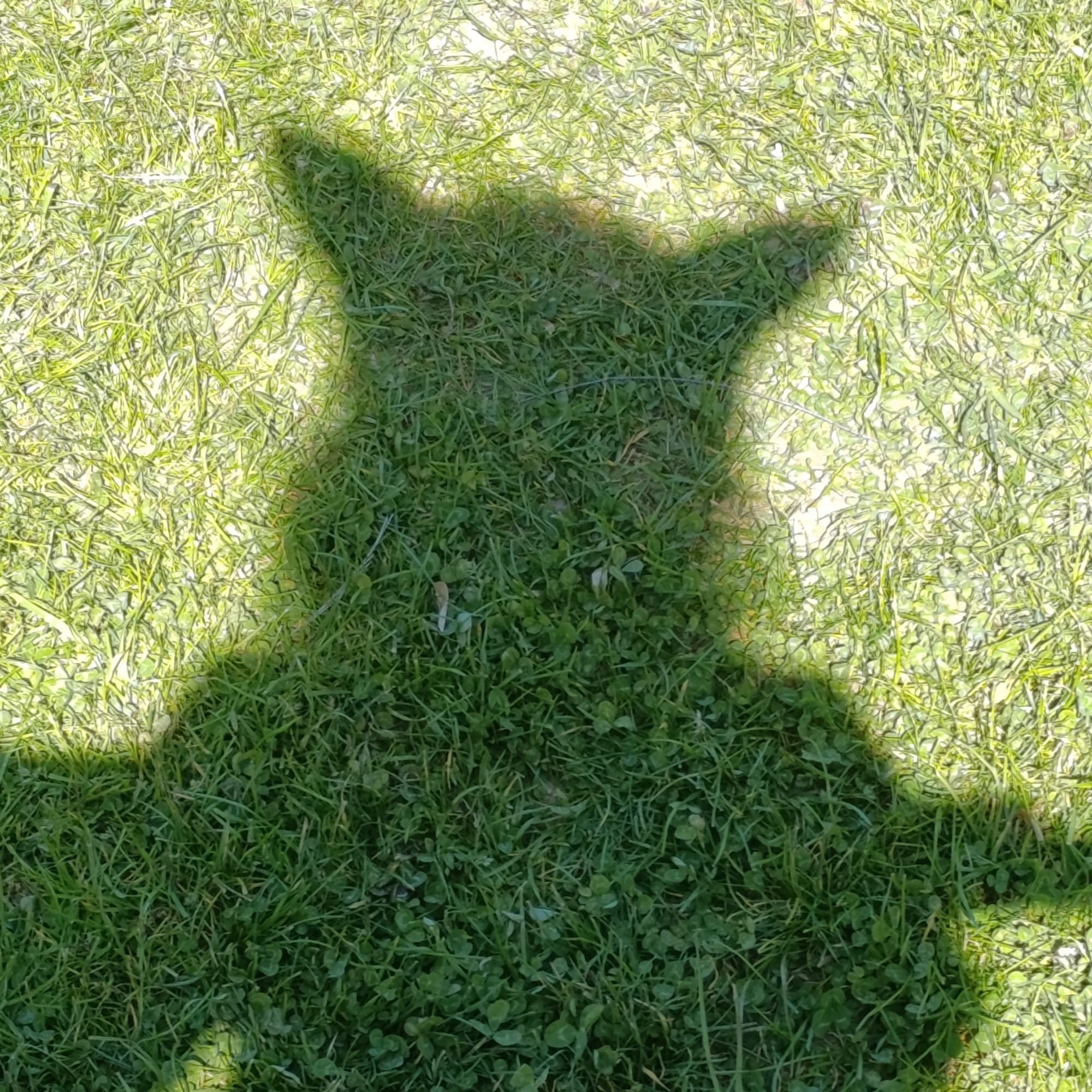 OC - Roman - Original character cosplay photoshoot cover