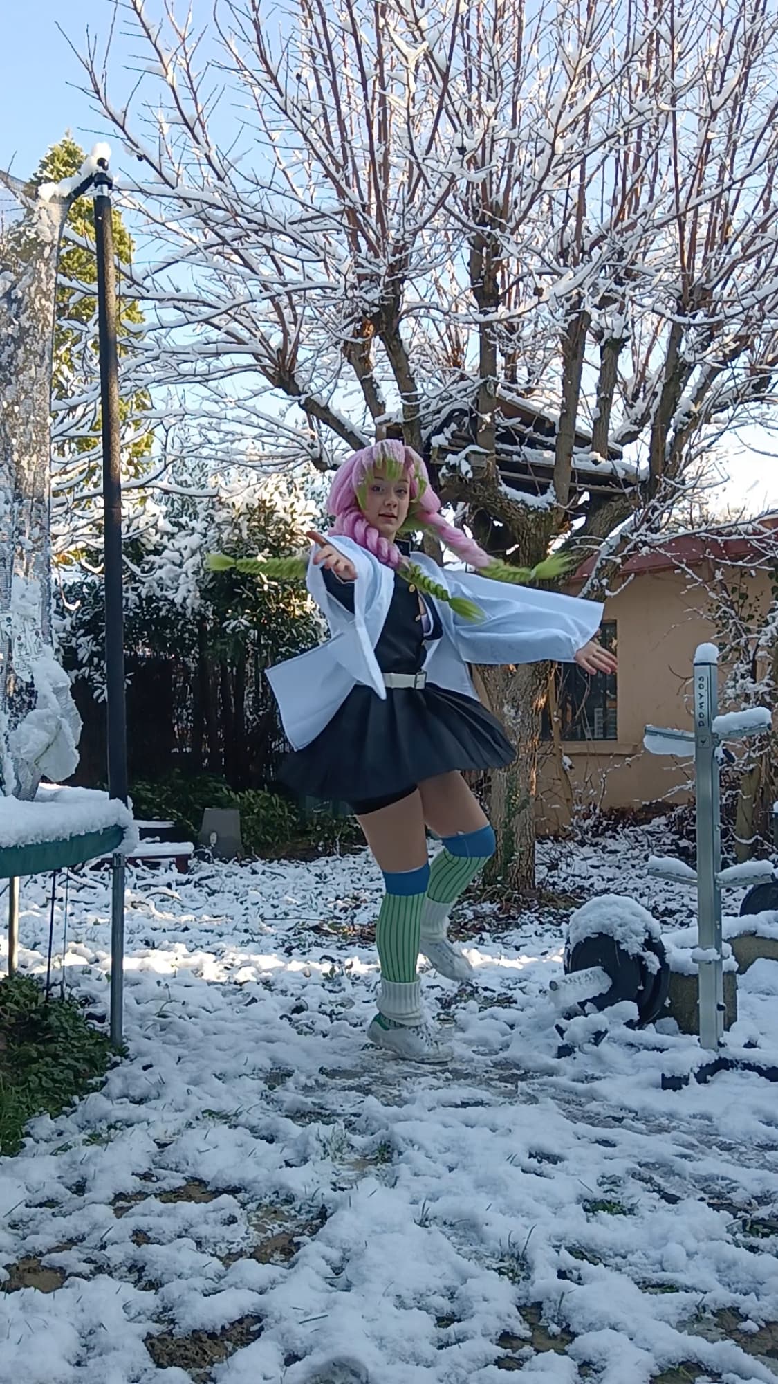 Mitsuri Kanroji - Photo 32