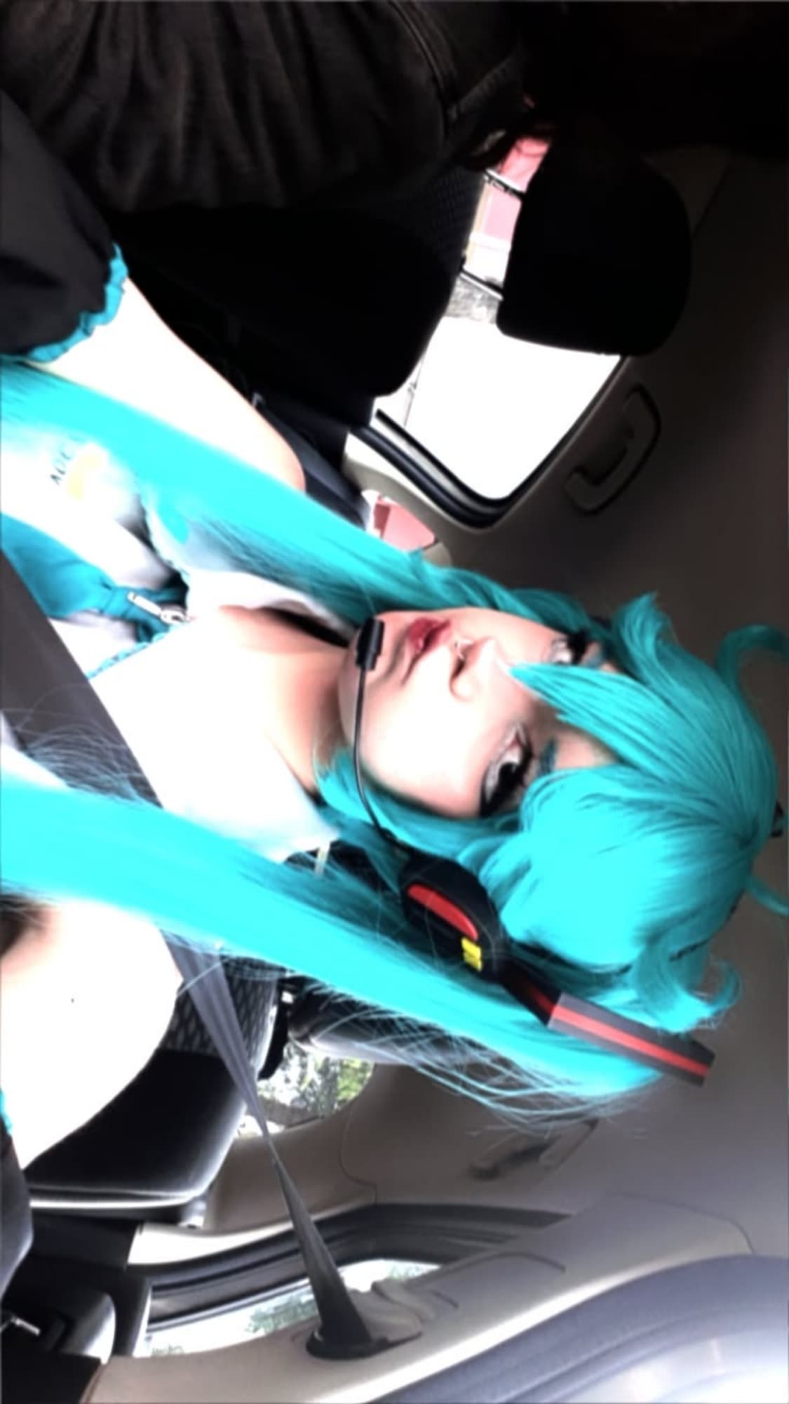 Miku - Photo 8