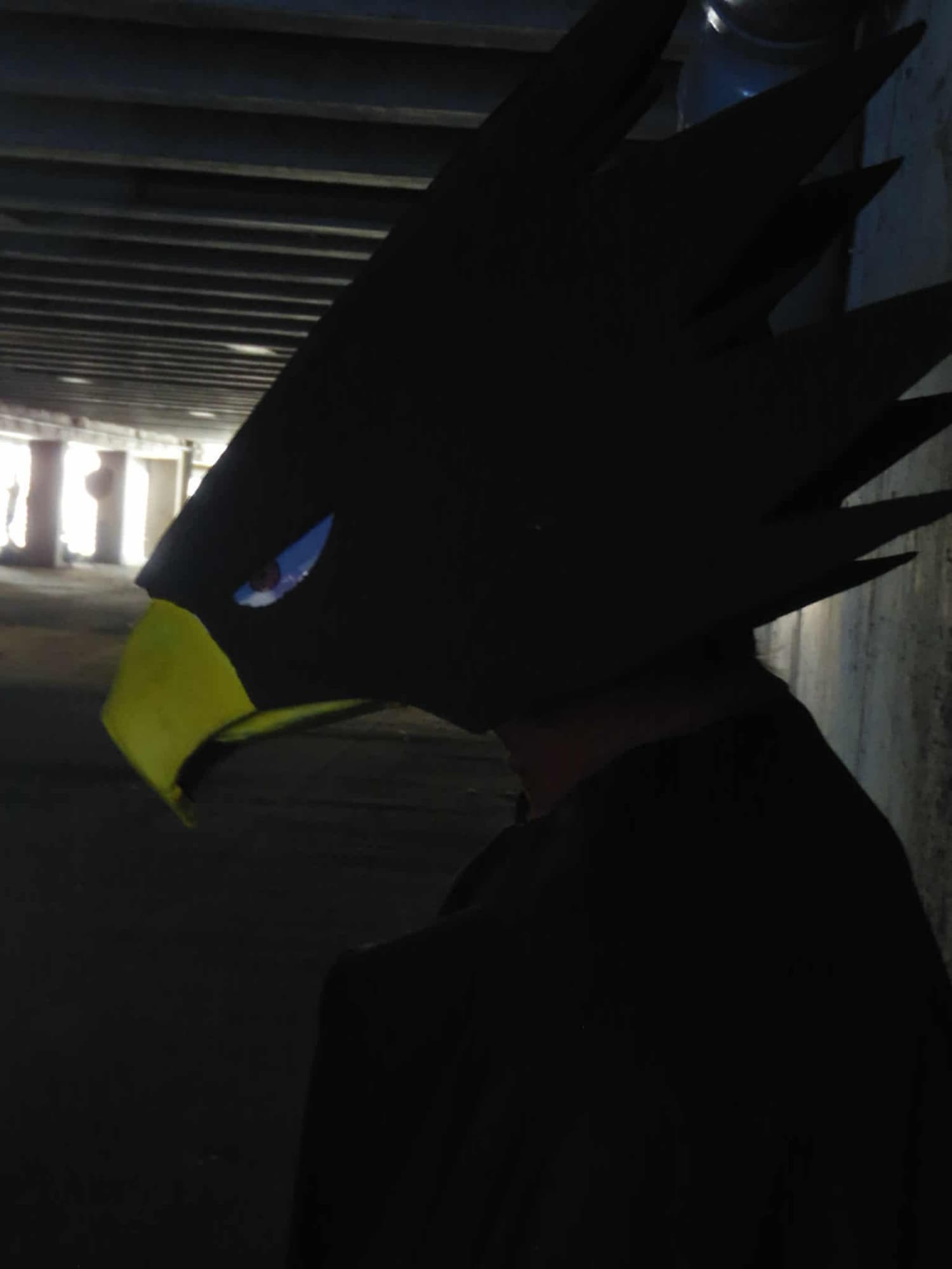Tokoyami - JapanExpo - Photo 9