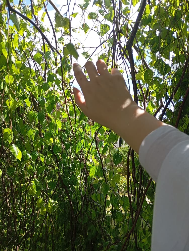 Xie Lian!!  - Photo 4