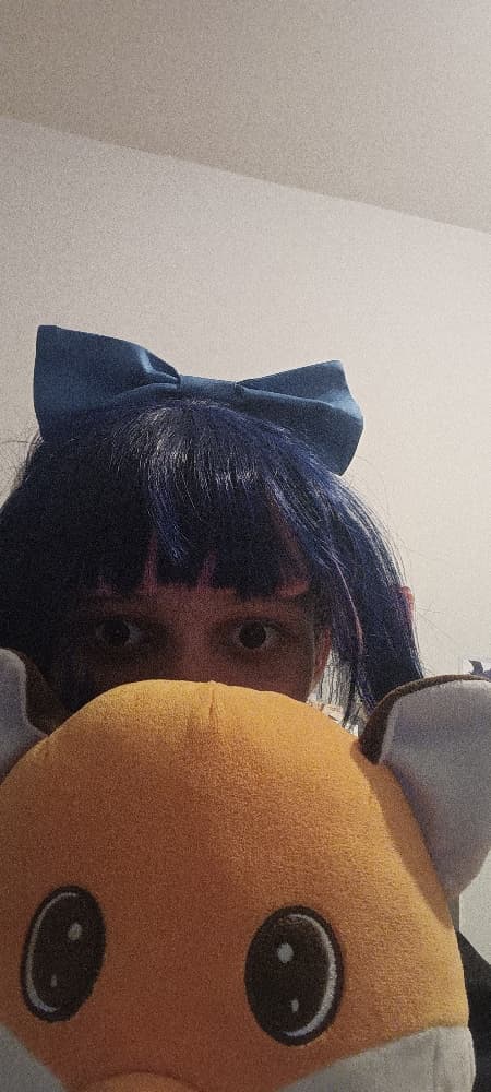 Stocking Anarchy - Photo 2