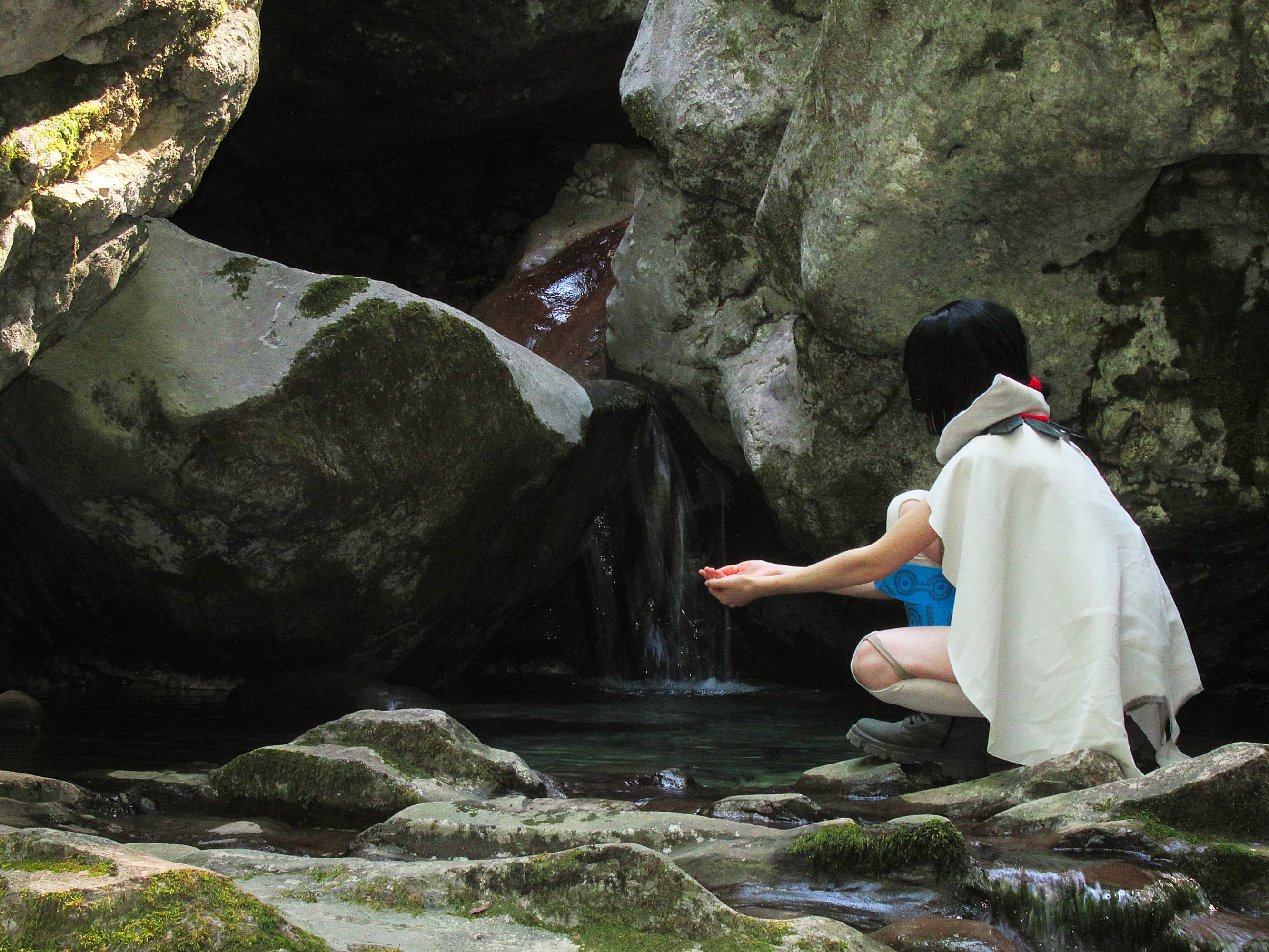 Amaryllis P2 - Photo 3