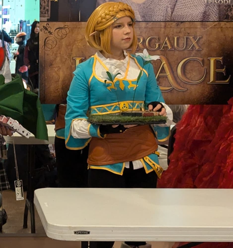 Concours cosplay  - Photo 12