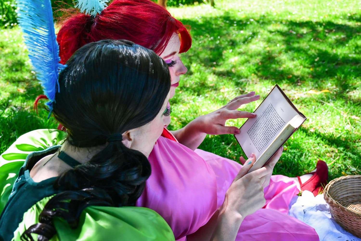 Javotte et Anastasie - Photo 16