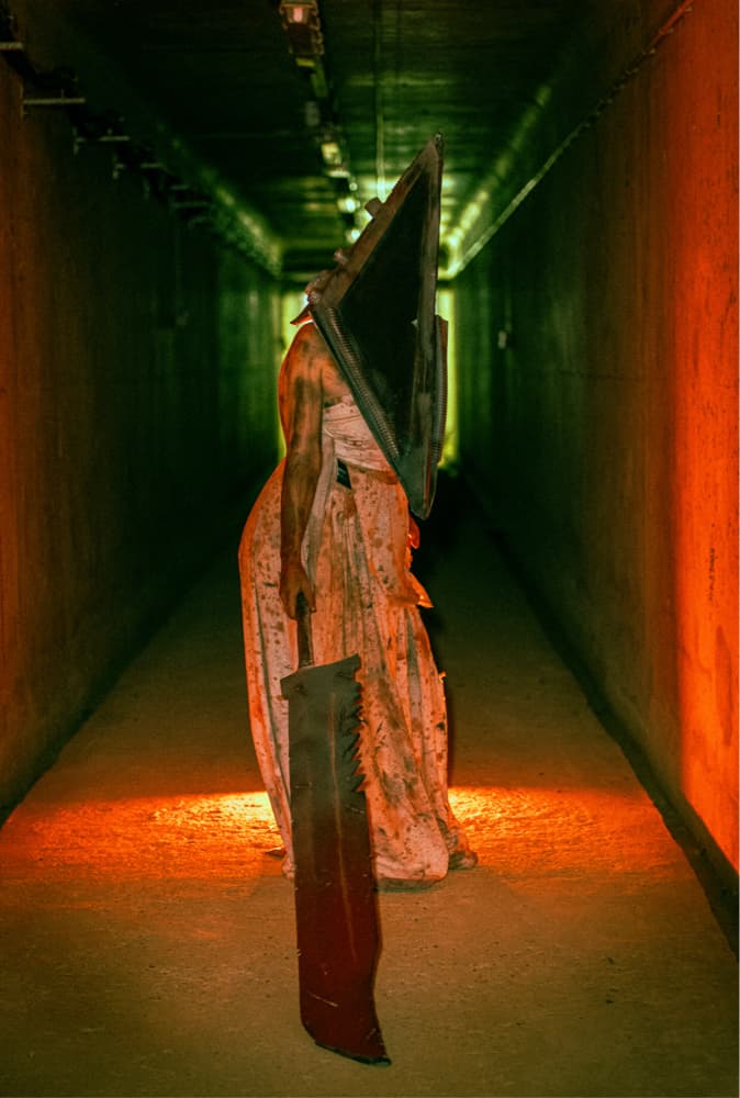 Pyramid head  - Photo 3