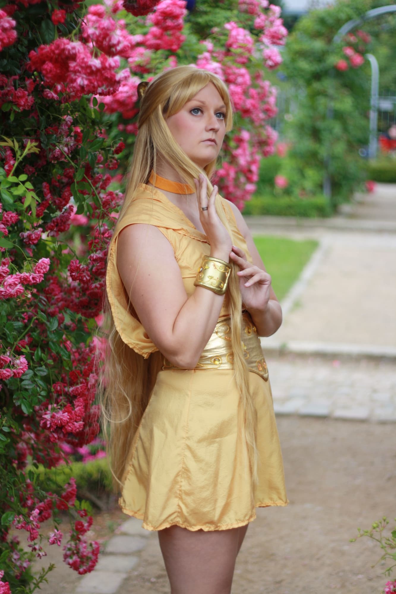 Princess Venus-Anime