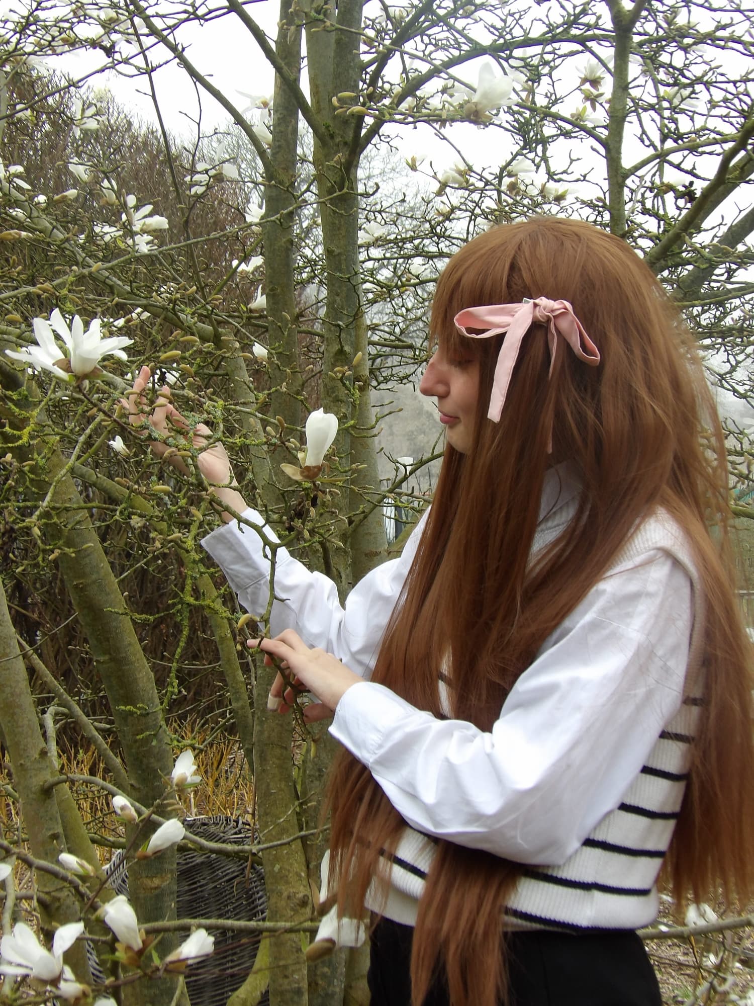 Tohru Honda  - Photo 15