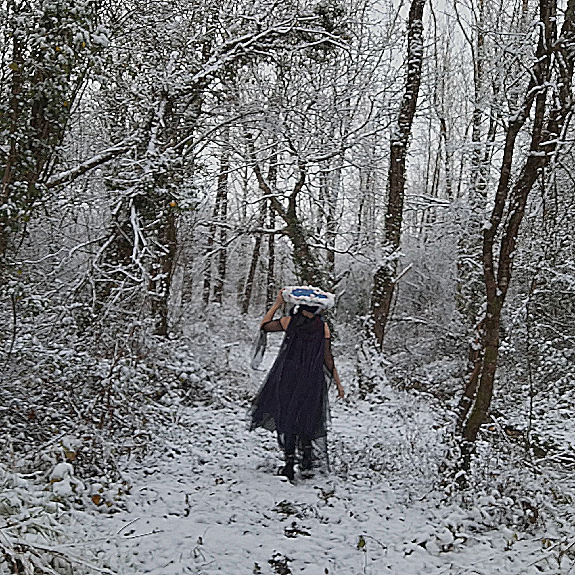 Aerys - Hiver - Photo 1