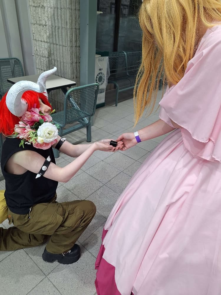 Bowser/Peach - Photo 2