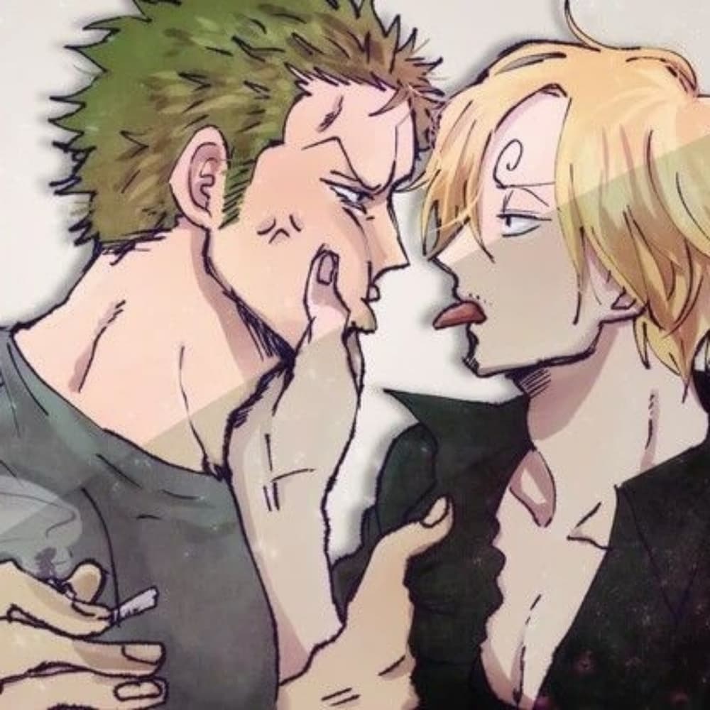Zoro & Sanji