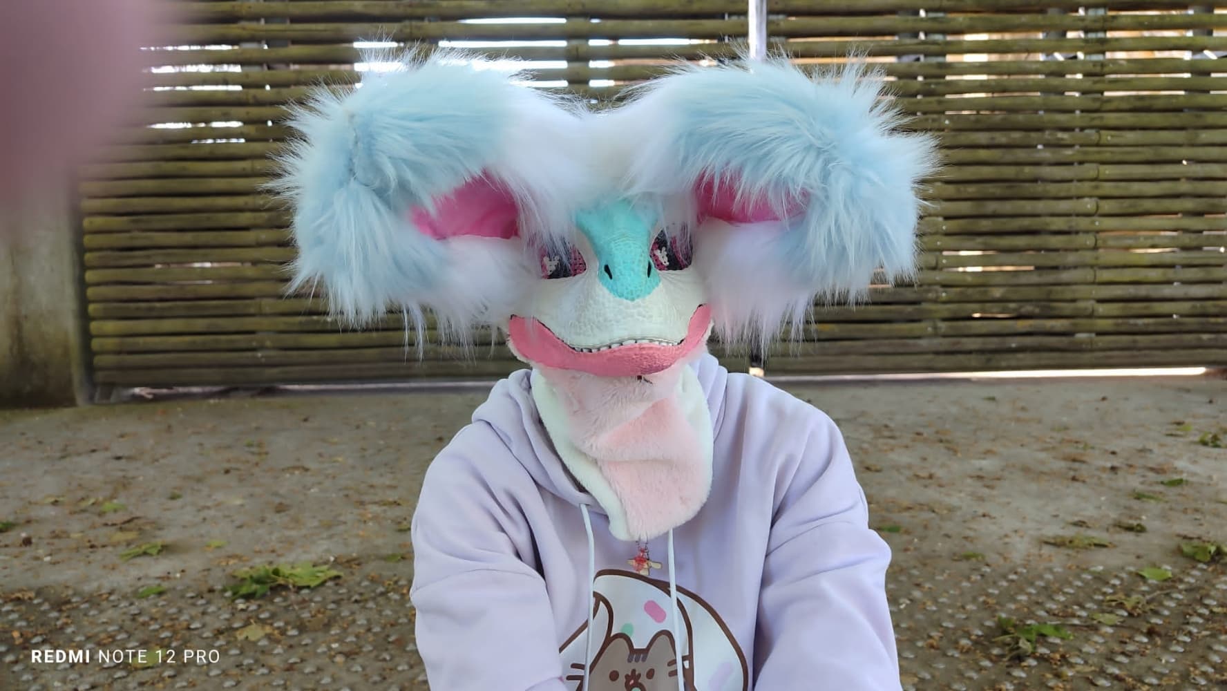 Debut du printemps  - Photo 23