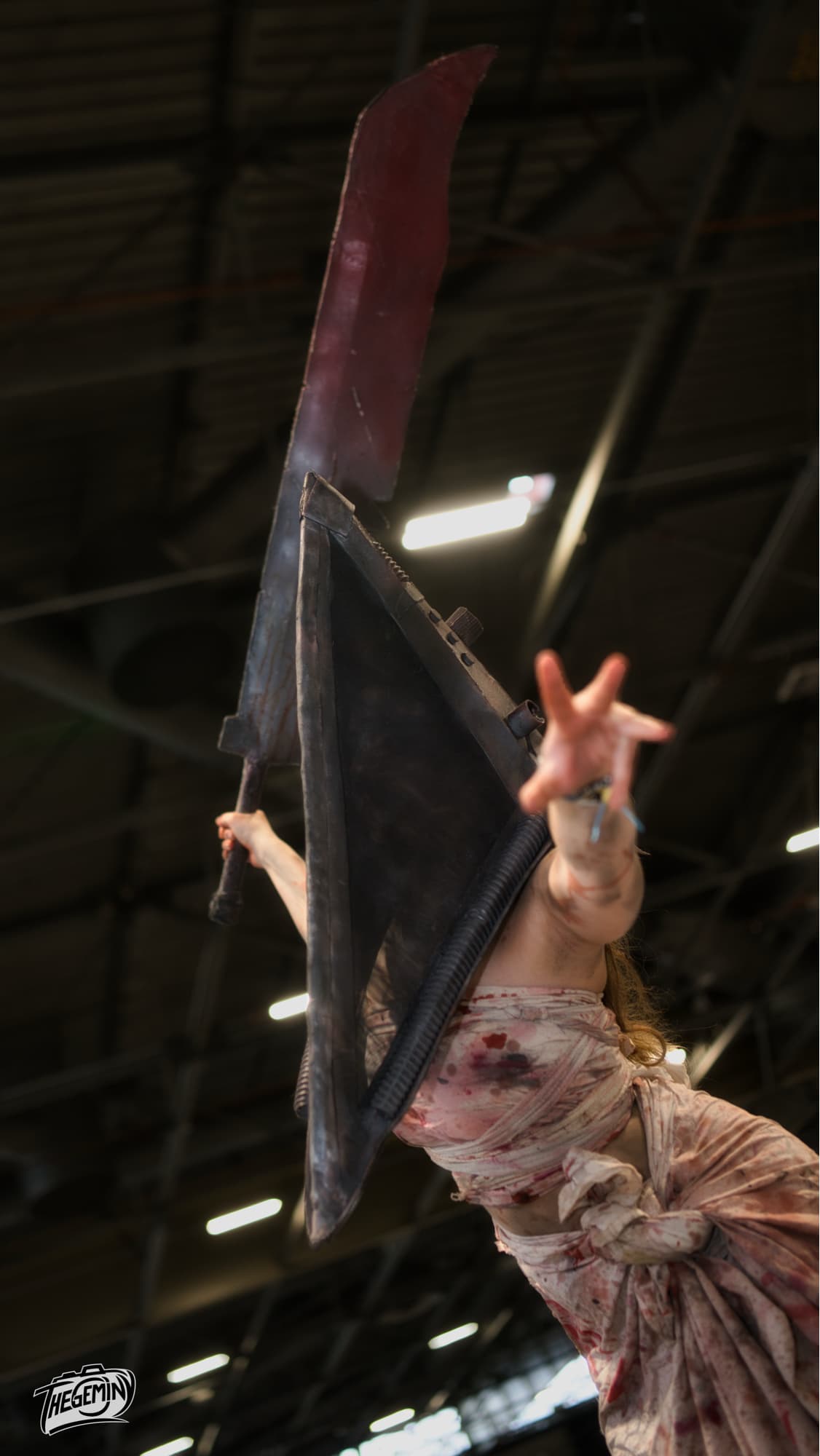 Pyramid head  - Photo 5