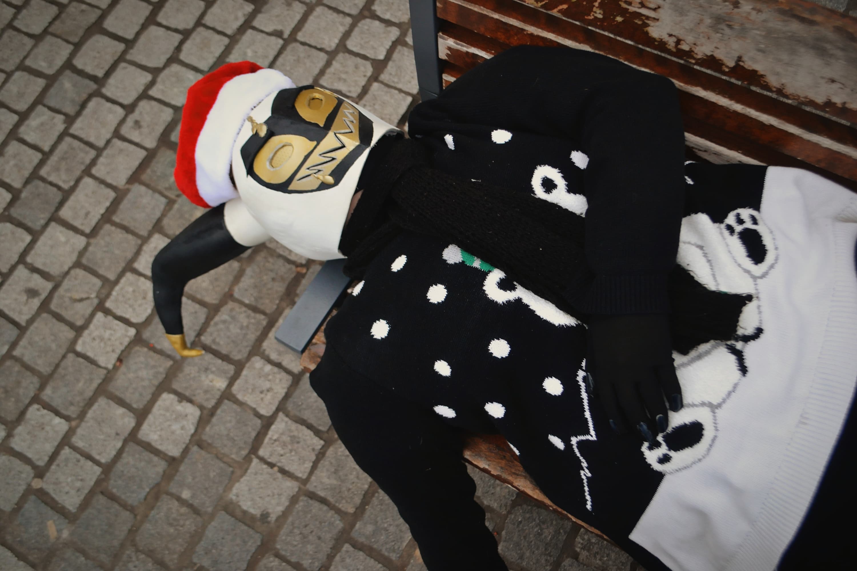 Adam d'hiver - Photo 1