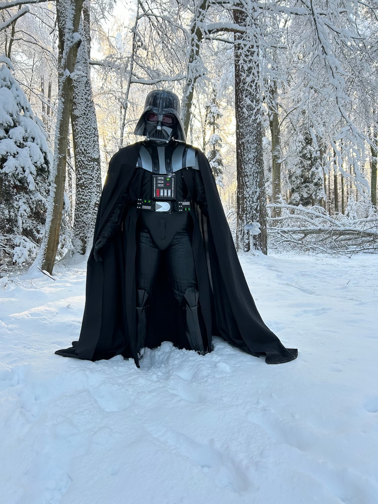 Snow Vader - Photo 49