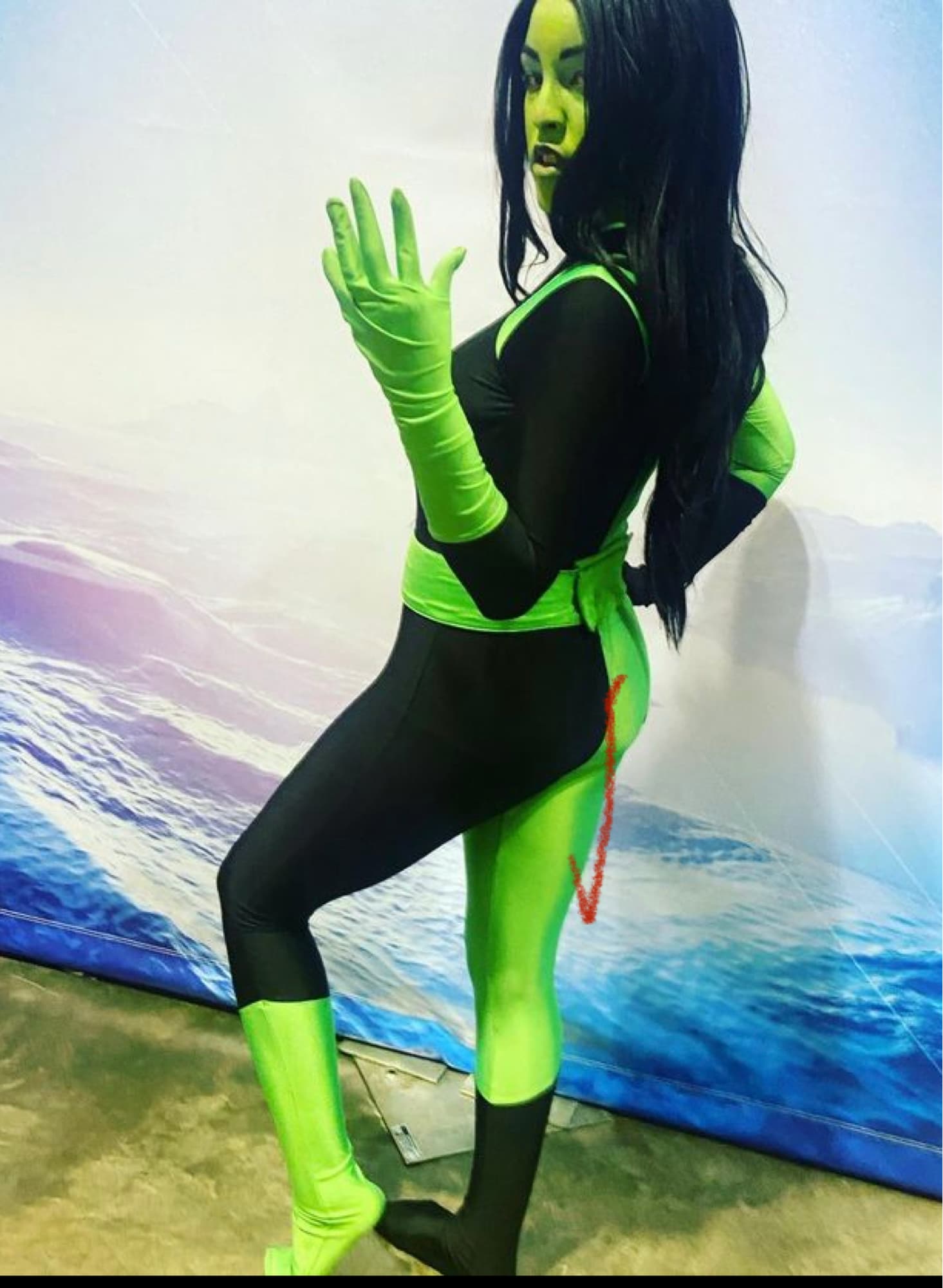 Shego - Photo 1
