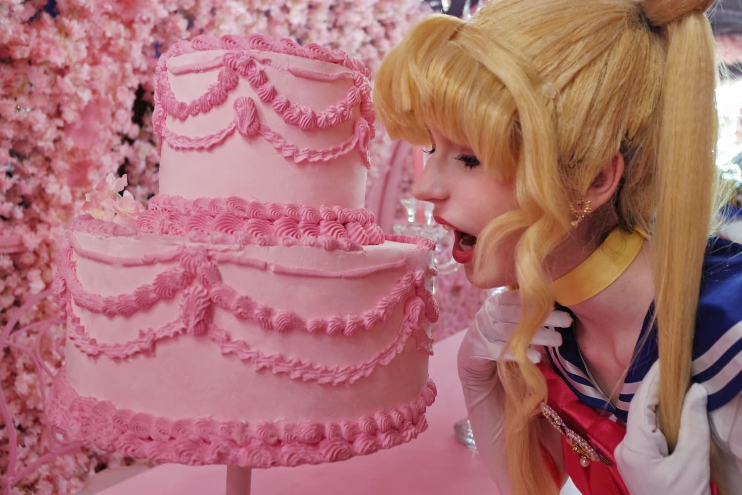 Sailor Moon - Photo 22