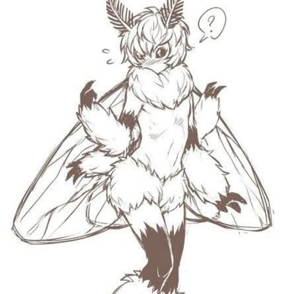 Moth