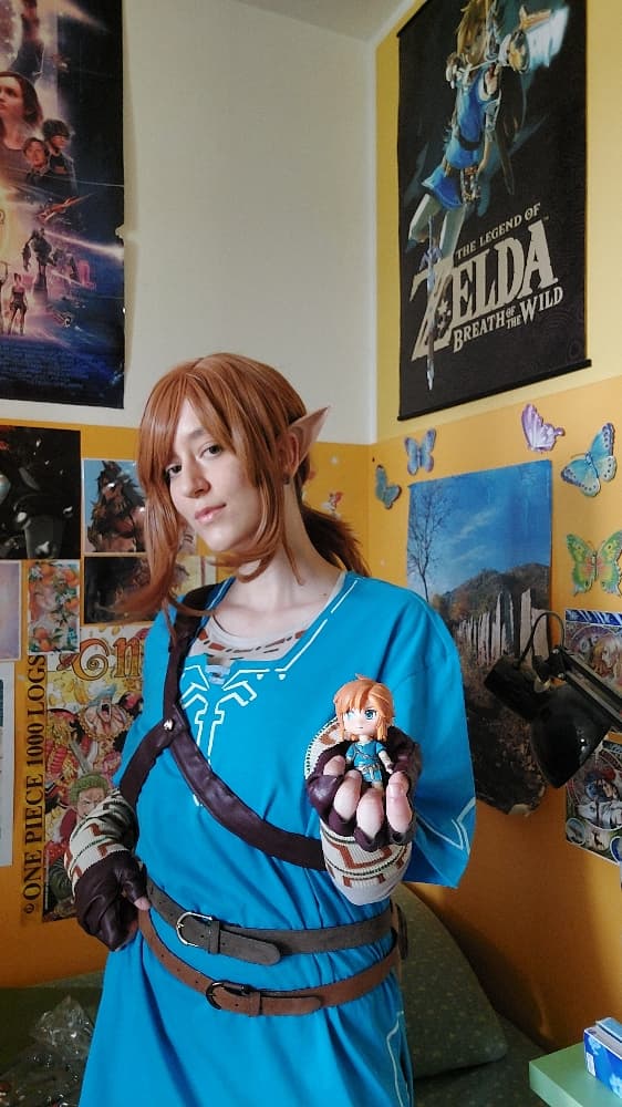 Link (Botw) - Photo 4