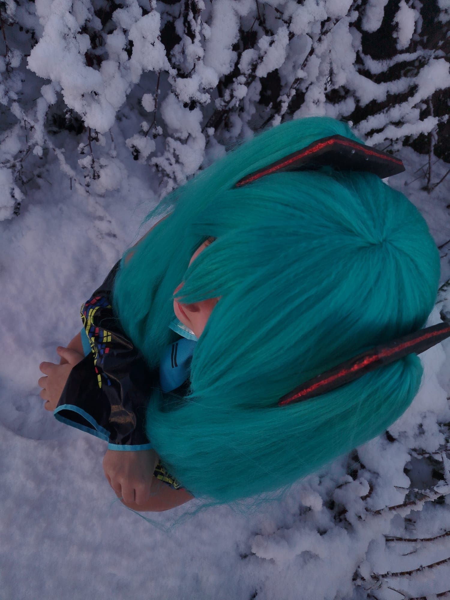Hatsune Miku - Photo 1