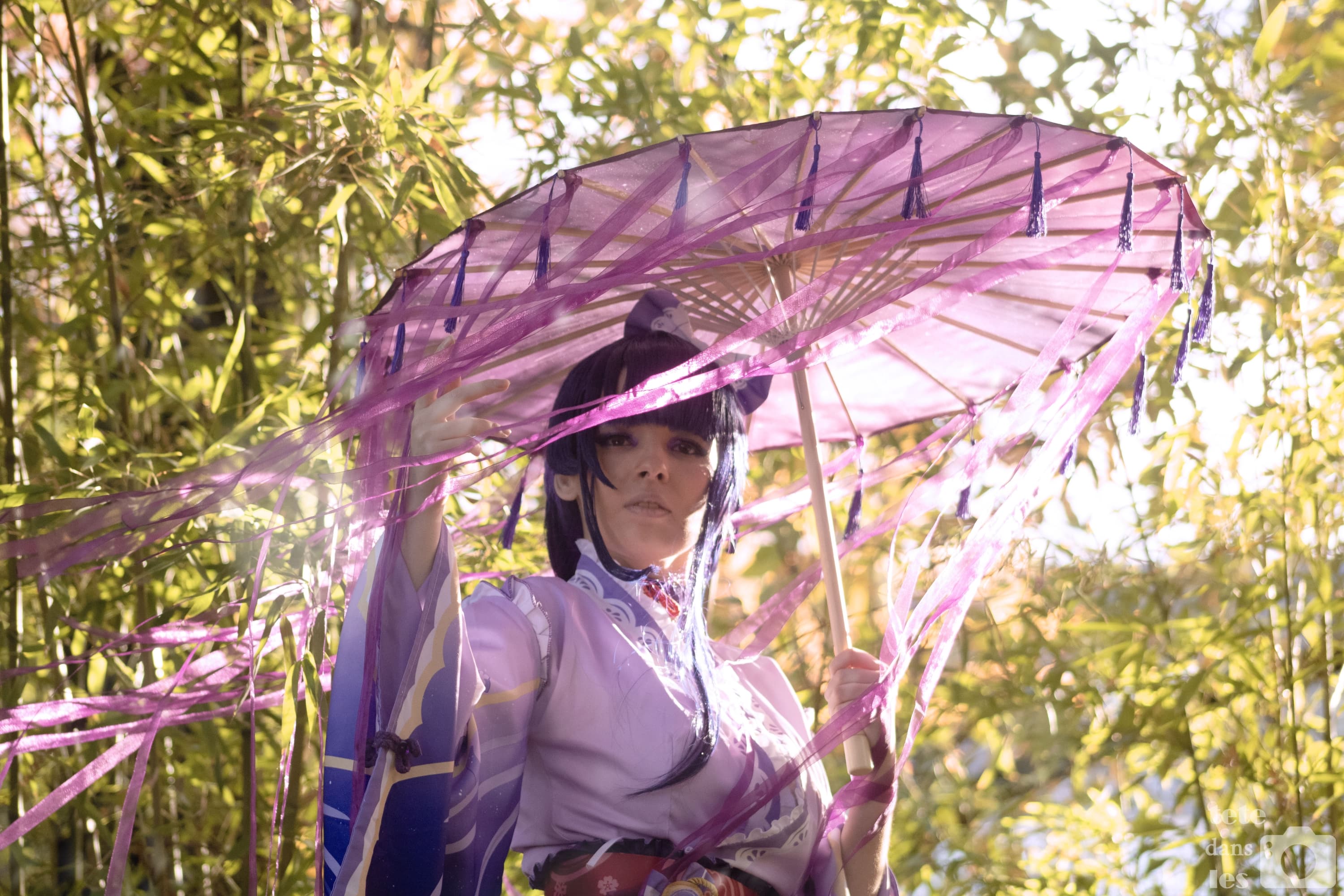 Raiden Shogun - Photo 4