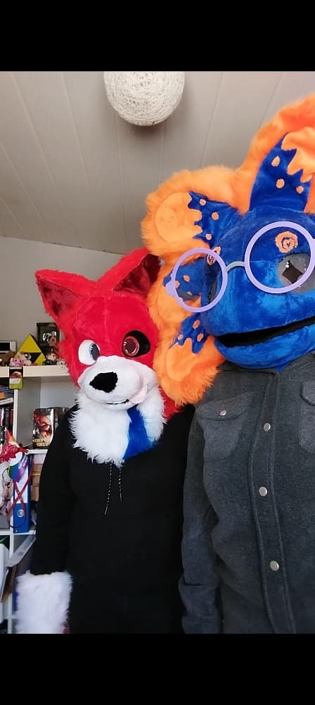 Stellar et Rød Ulva - Photo 6