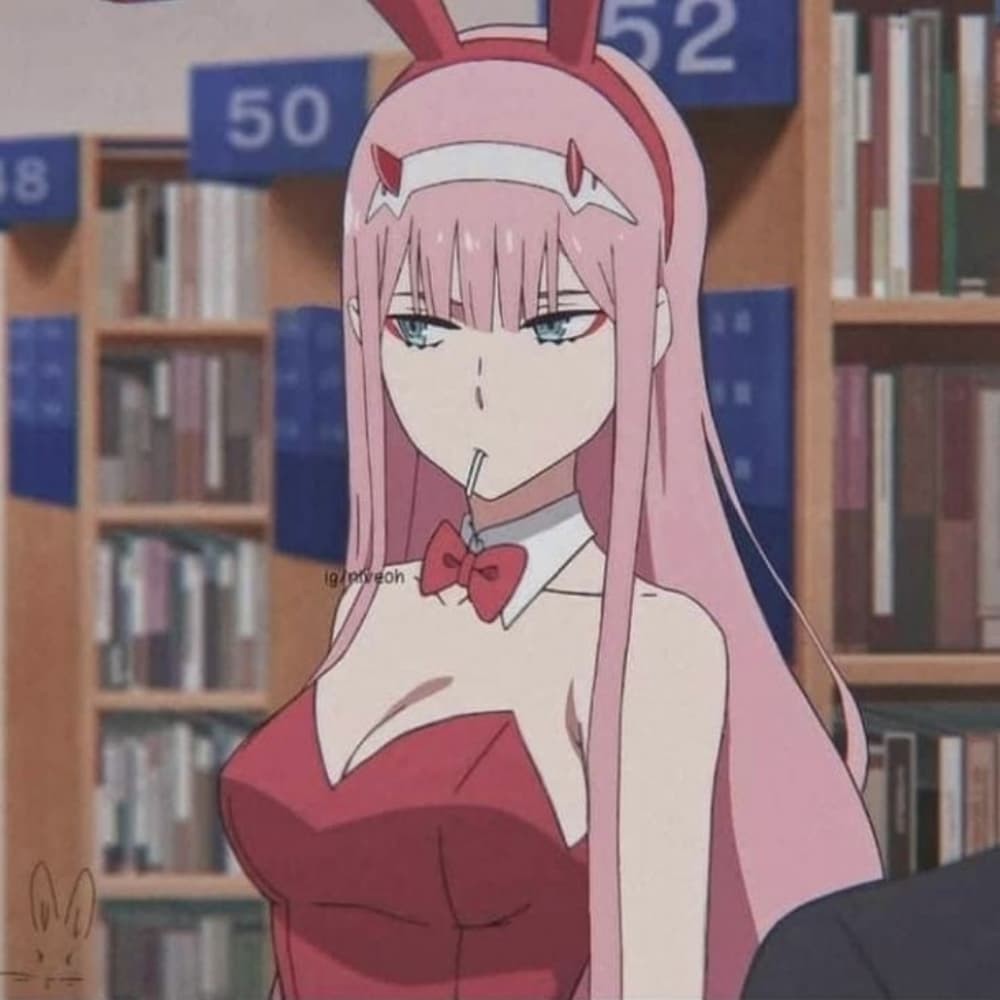 Zero Two Bunny