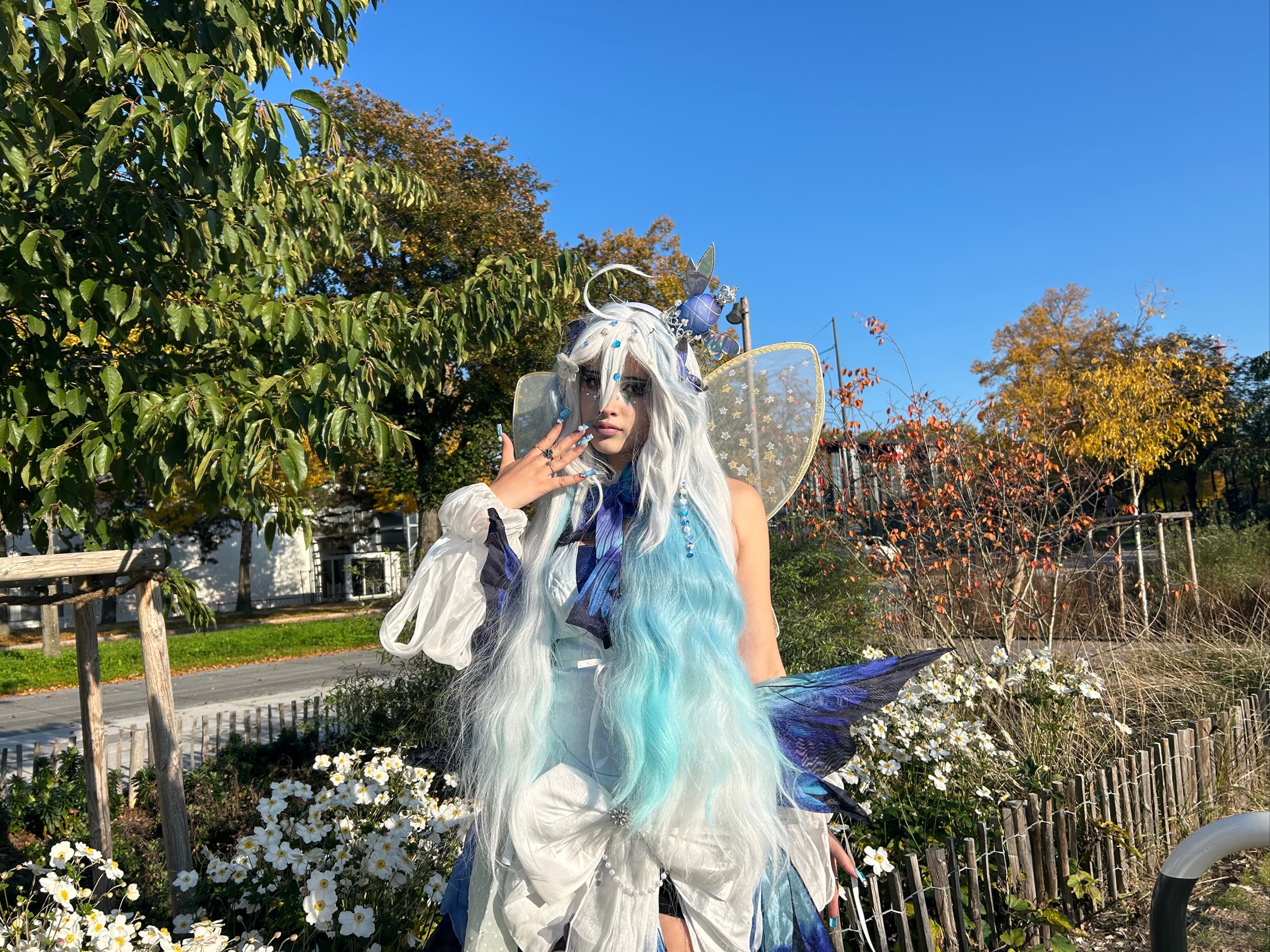 Miku butterfly  - Photo 3