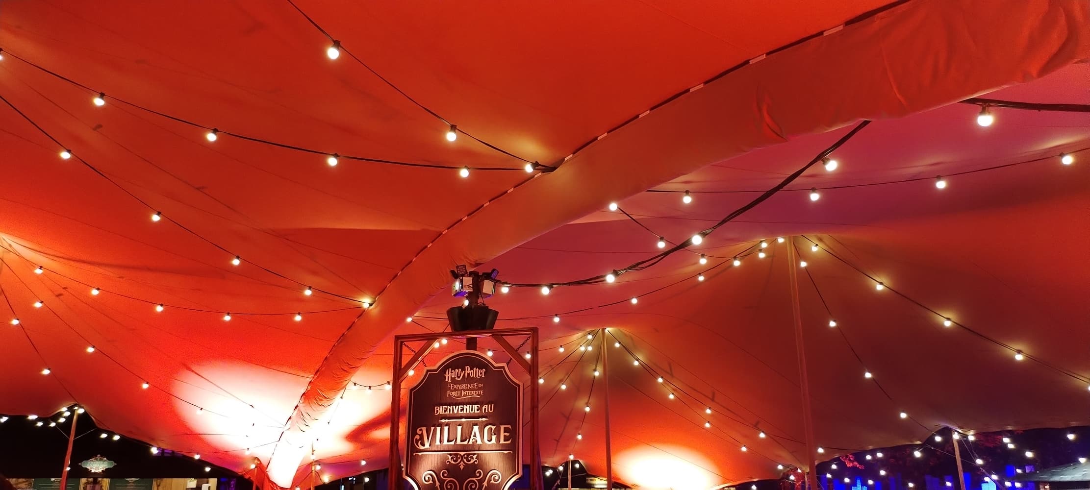 La forêt interdite - Photo 10