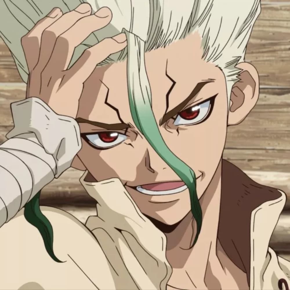 Senku dr stone