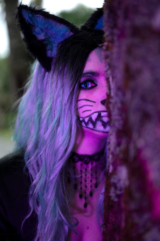 Chat du Cheshire - Photo 7