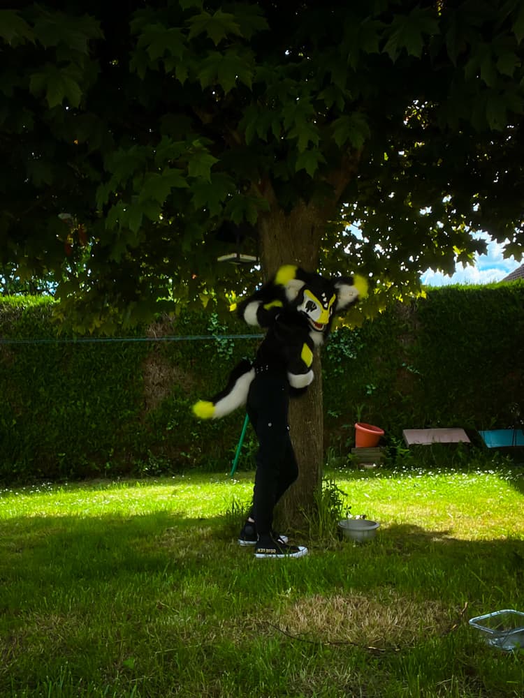 Photos Félix - Photo 4