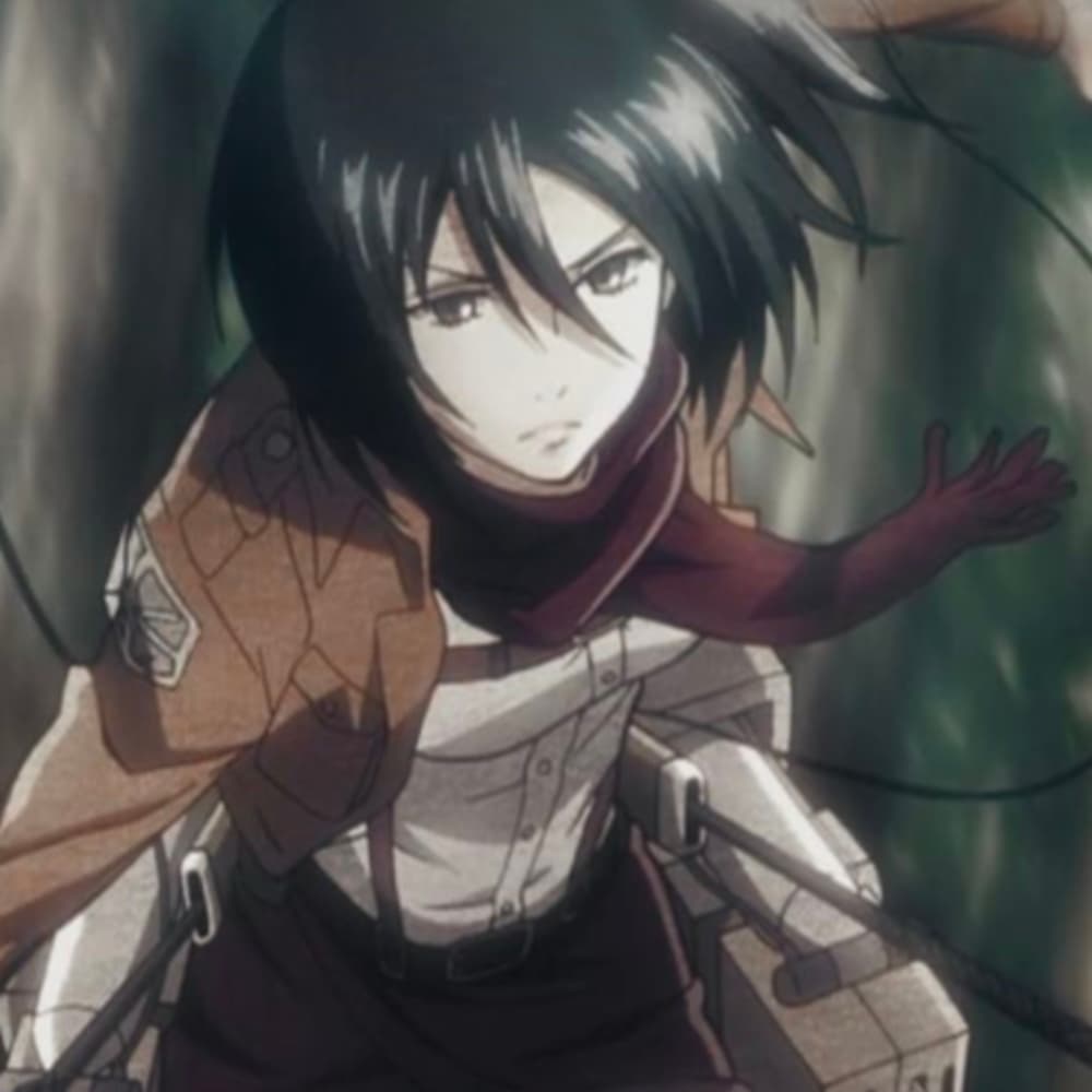 Mikasa