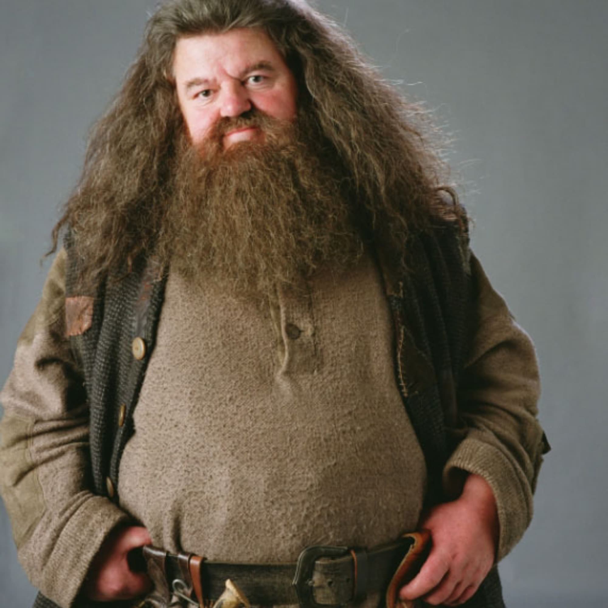 Rubeus Hagrid