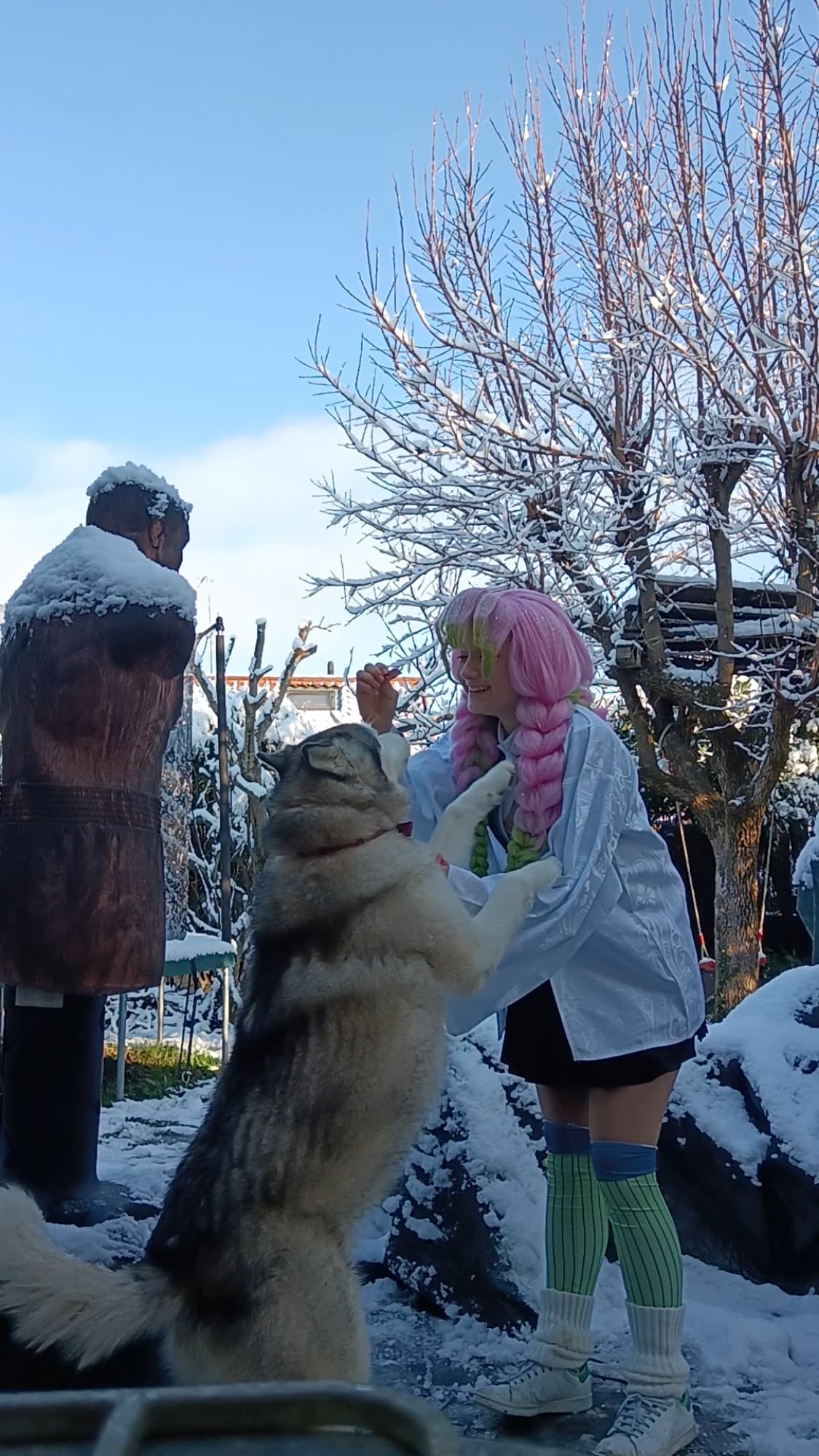 Mitsuri Kanroji - Photo 28